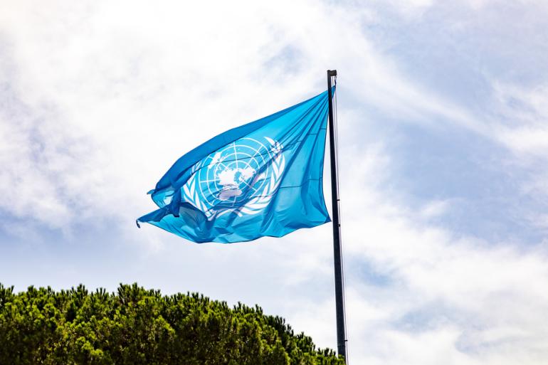 Bandera de la ONU